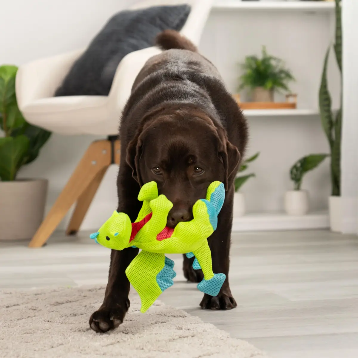 goDog Dragons Squeaky Plush Dog Toy with Double Chew Guard Technology, Large, Green | Durable Fabric & Active Play - view 8