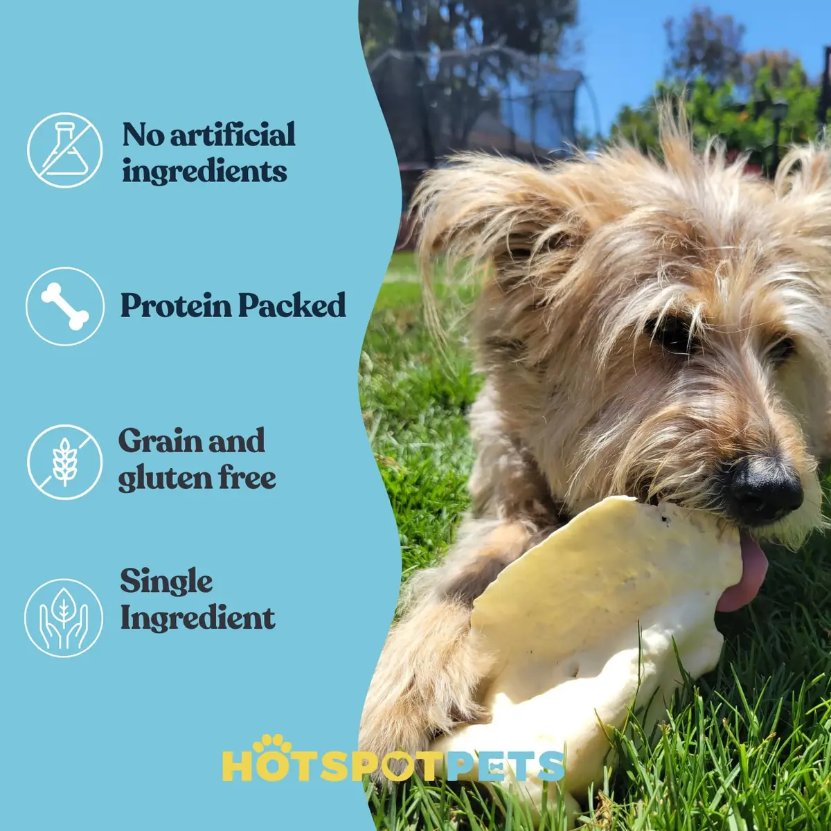 hotspot pets All-Natural Cow Ears Dog Chews (50 Pack) | Long-Lasting, Single Ingredient Treat for Healthy Teeth & Gums - view 4