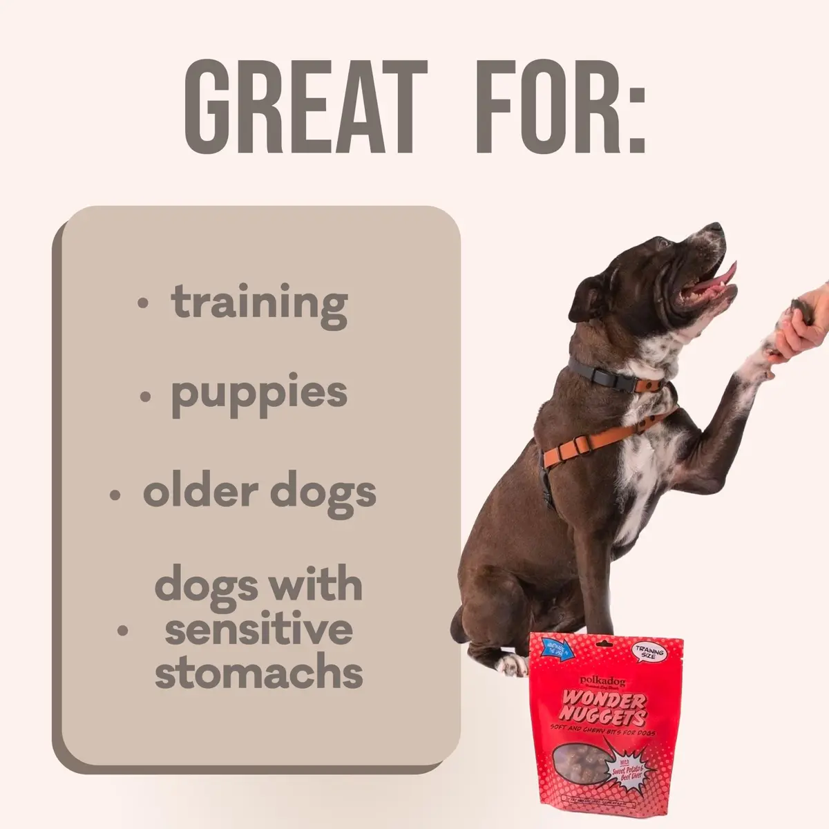 Polkadog Sweet Potato & Beef Wonder Nuggets | Soft & Chewy Dog Treats for All Breeds - view 6