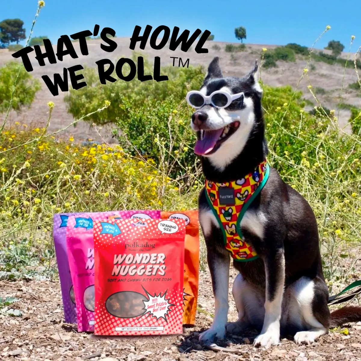 Polkadog Sweet Potato & Beef Wonder Nuggets | Soft & Chewy Dog Treats for All Breeds - view 7