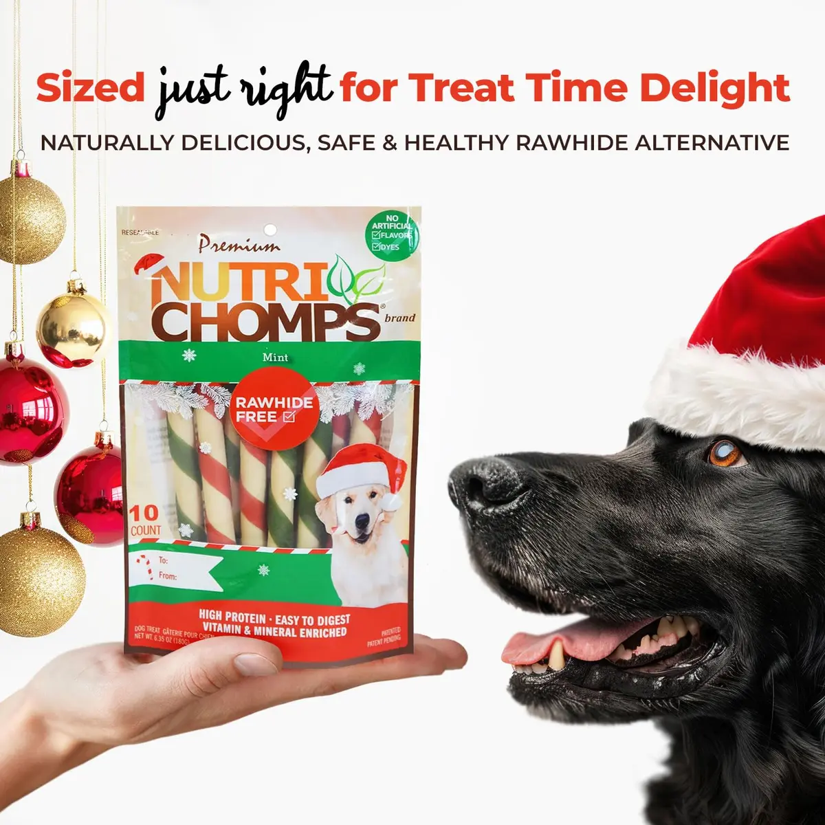 NutriChomps Rawhide-Free Dog Chews, 5 in Twists, Mint, 10 Count | Healthy, Digestible, Dental Support - view 4