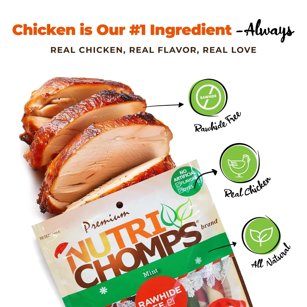 NutriChomps Rawhide-Free Dog Chews, 5 in Twists, Mint, 10 Count | Healthy, Digestible, Dental Support - view 2