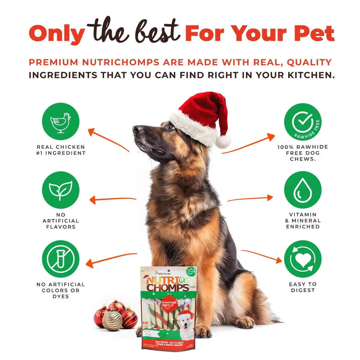 NutriChomps Rawhide-Free Dog Chews, 5 in Twists, Mint, 10 Count | Healthy, Digestible, Dental Support - view 3