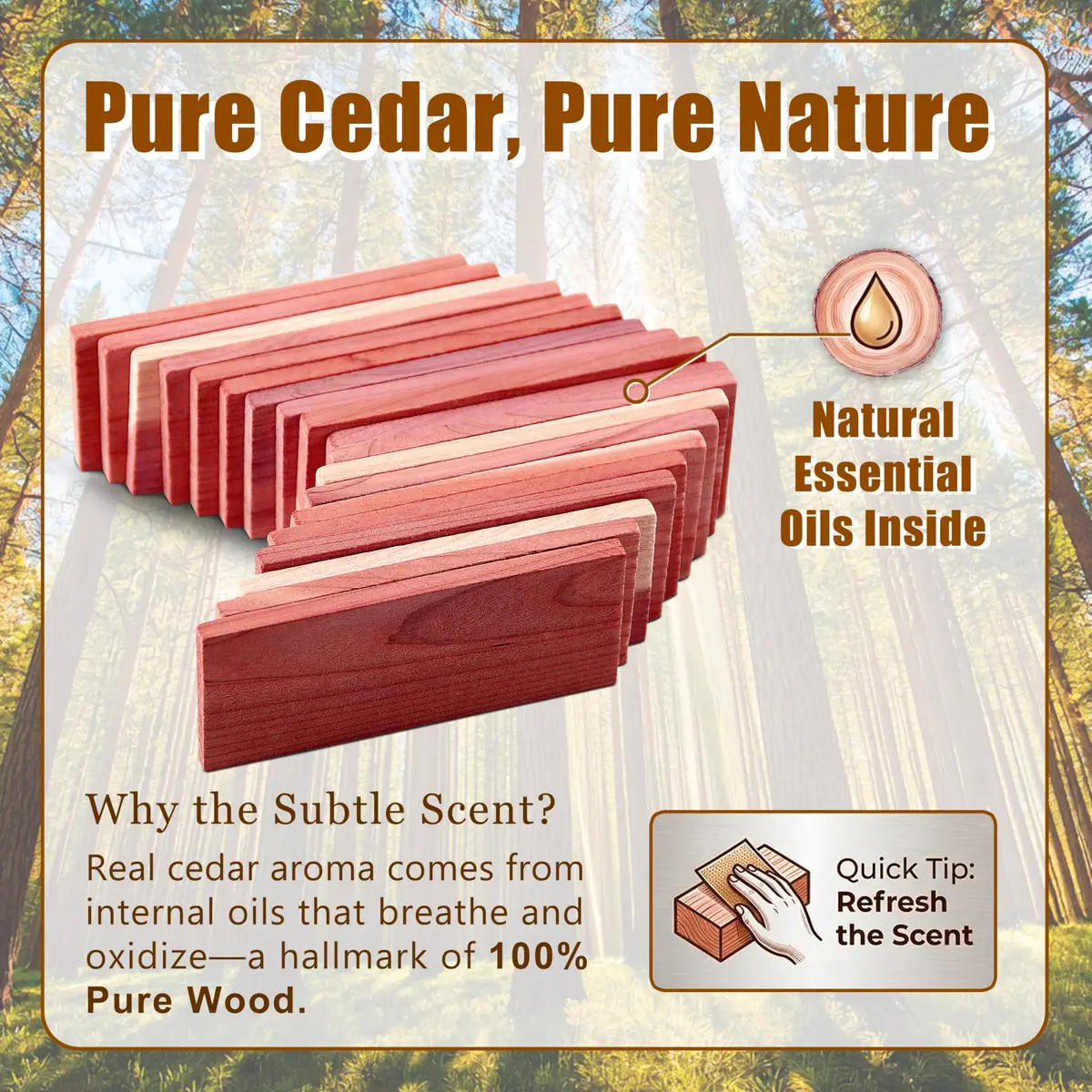 Cedar Space Cedar Blocks for Clothes Storage, 32 PCS Aromatic Red Cedar Wood Planks | Natural Moth Repellent for Closets & Drawers - view 6