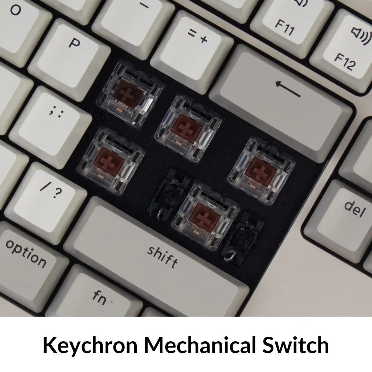 Keychron C2 Full Size Wired Mechanical Keyboard Brown Switch Retro | 104-Key Layout with Number Pad - view 4