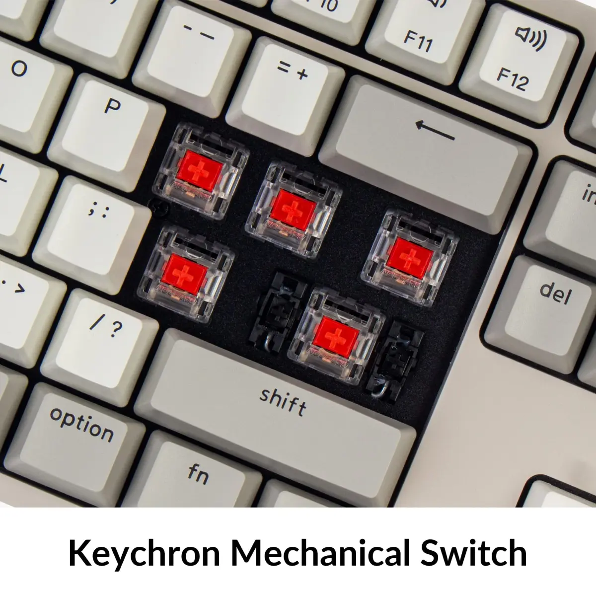 Keychron C2 Full Size Wired Mechanical Keyboard, Retro Color, Red Switch | 104 Keys, Mac & Windows Compatible - view 4