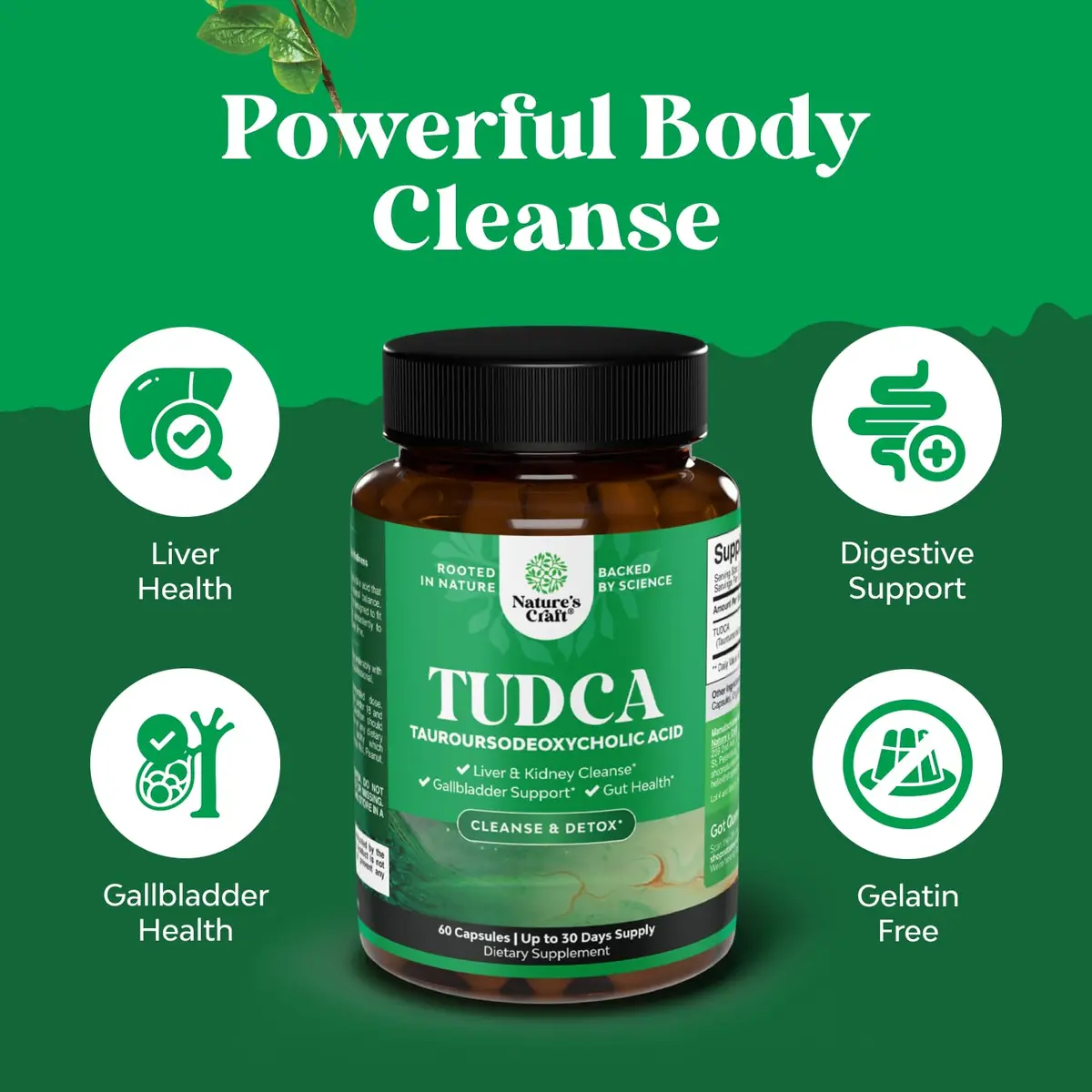 Natures Craft Advanced Bile Salt TUDCA Supplement 500mg | Liver & Gallbladder Support (60ct) - view 2