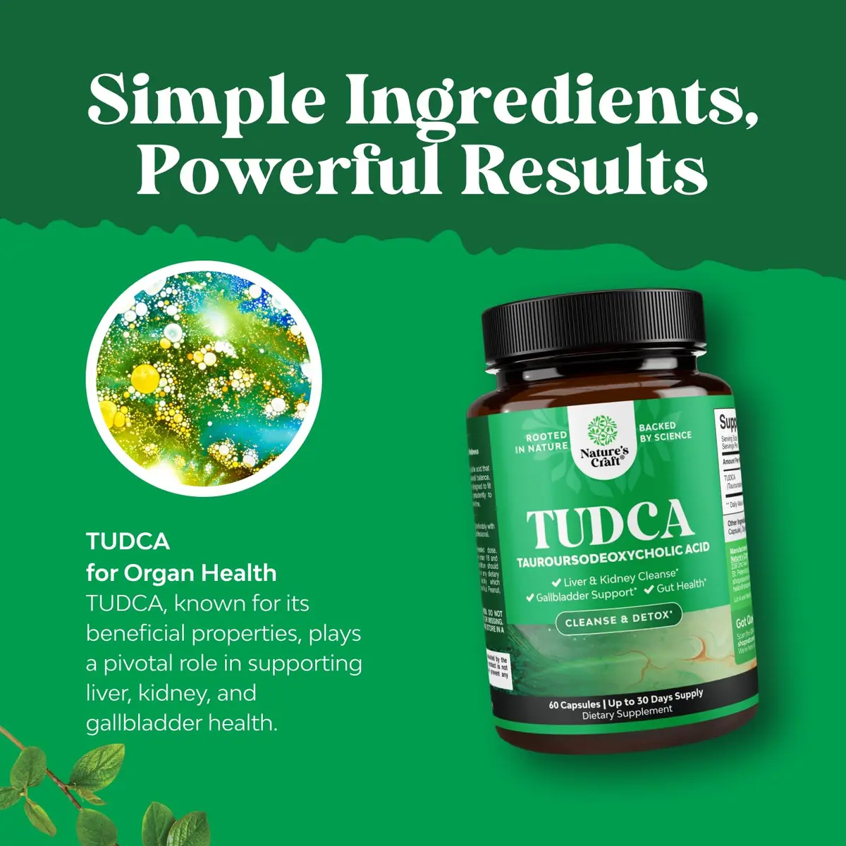 Natures Craft Advanced Bile Salt TUDCA Supplement 500mg | Liver & Gallbladder Support (60ct) - view 3