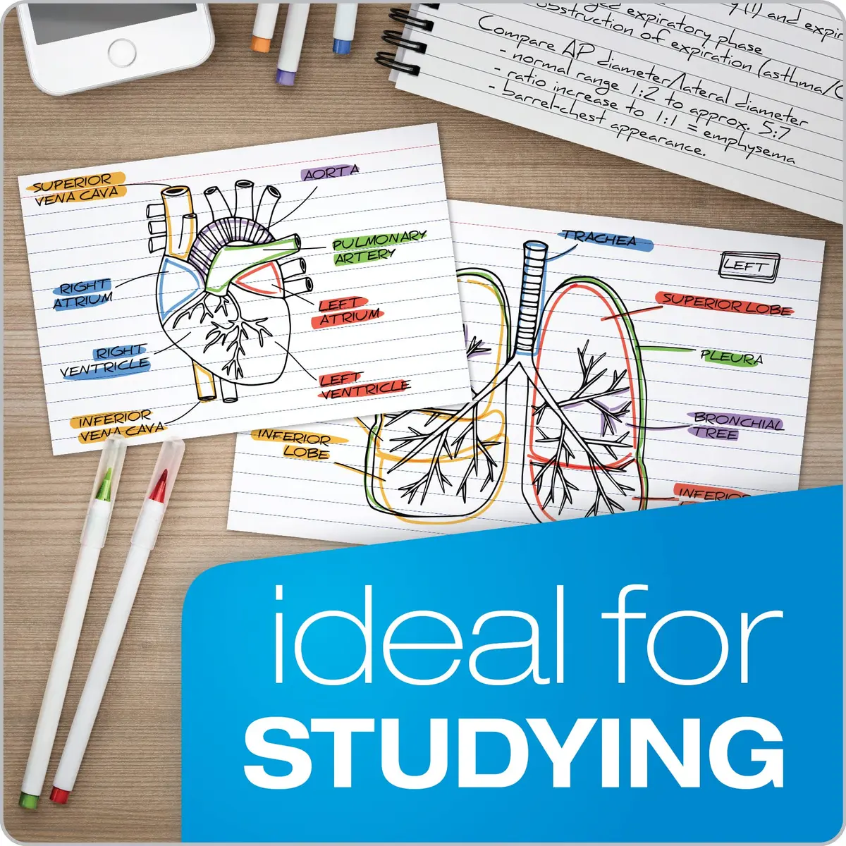 Oxford Index Cards 3 x 5 Inches White Lined on Front Blank on Back 500 Count | Study Tool for Students - view 5