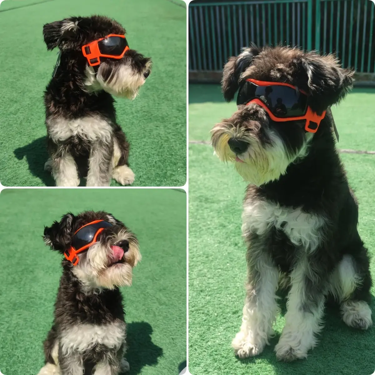 PETLESO Dog Goggles for Small to Medium Breed, Anti-UV Dog Sunglasses 5" L x 2" W | Sporty Orange Pet Eyewear - view 8