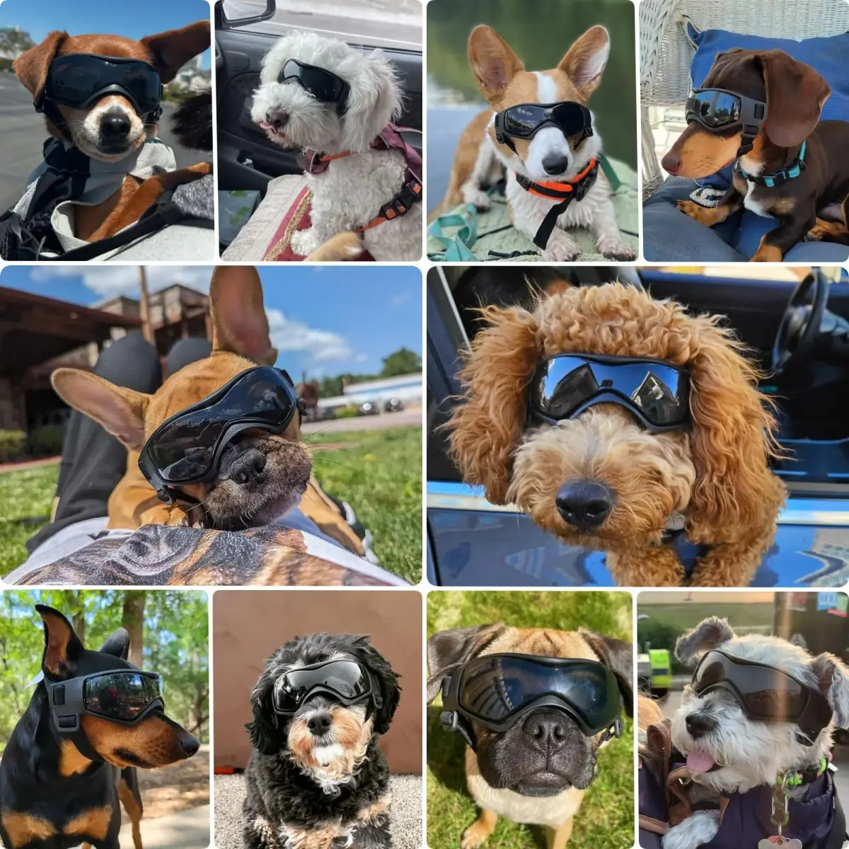 PETLESO Black Dog Goggles for Medium Breeds | UV Protection, Windproof, Adjustable Straps (Size M) - view 2