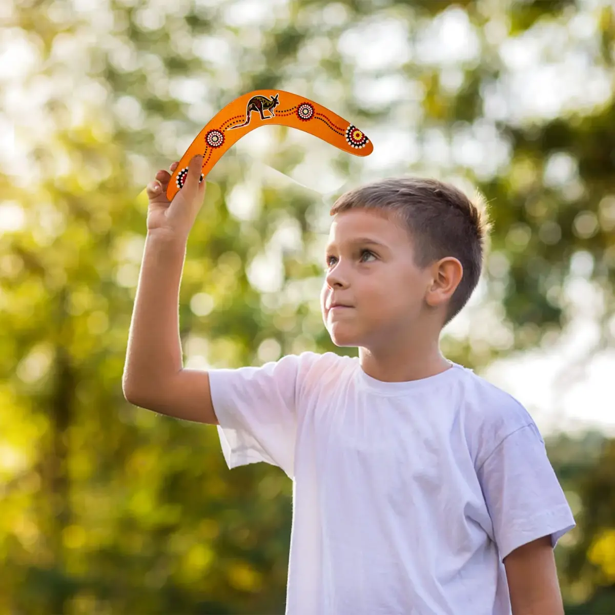Inborntrait V-Shaped Boomerang 2 Pack (Blue & Light Brown) | Handmade Wooden Outdoor Toy for Ages 10+ - view 2