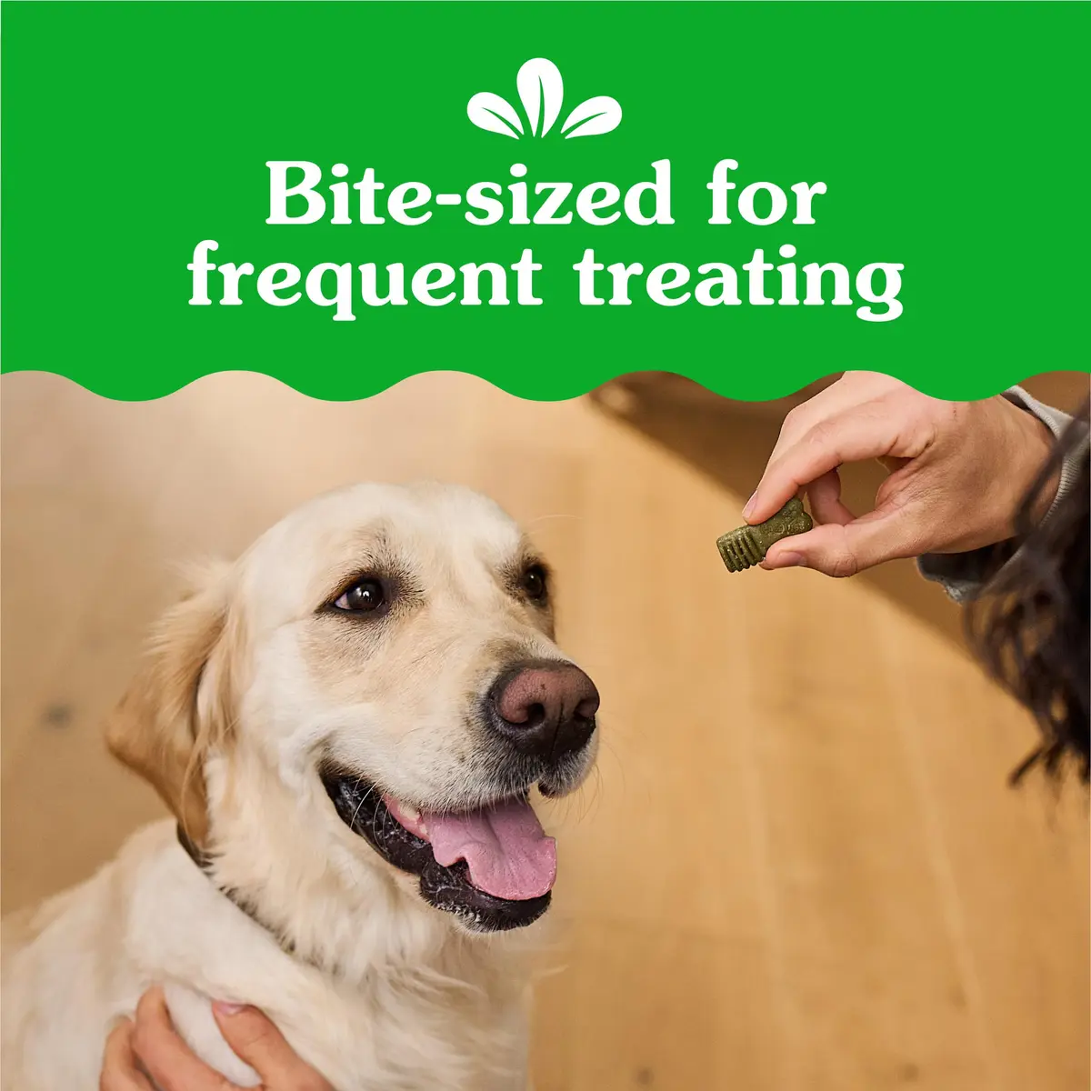 Greenies Dog Treats Blueberry Flavor | Chewy, Natural, 10.3 oz | 13 Calories - view 3