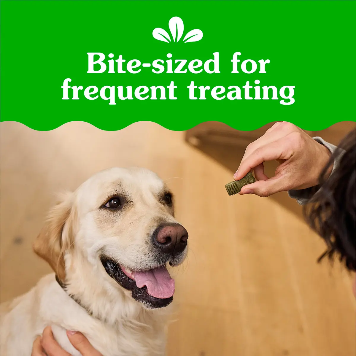 Greenies Anytime Bites Dog Treats, Original Flavor, 10.3 oz | Chewy, Low-Calorie Dog Snacks for Training & Treating - view 3