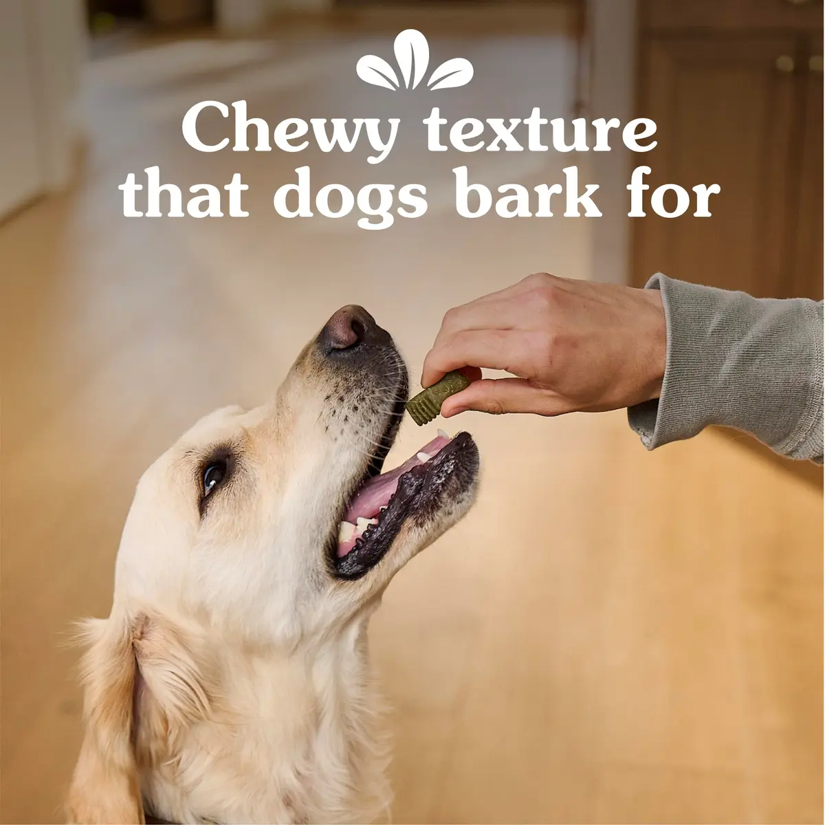 Greenies Dog Treats Mint Flavor 10.3 oz | Chewy, Natural, 13 Calories - view 5