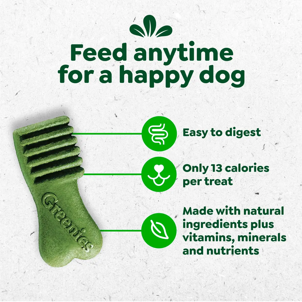 Greenies Dog Treats Mint Flavor 10.3 oz | Chewy, Natural, 13 Calories - view 2