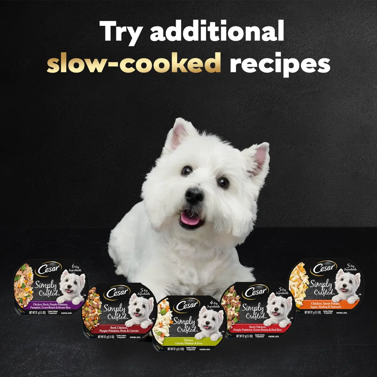 Cesar Simply Crafted Wet Dog Food Toppers, Chicken, 1.3 oz, 24 Count | Real Chicken, Easy Digest, Gourmet Meal Supplement - view 9