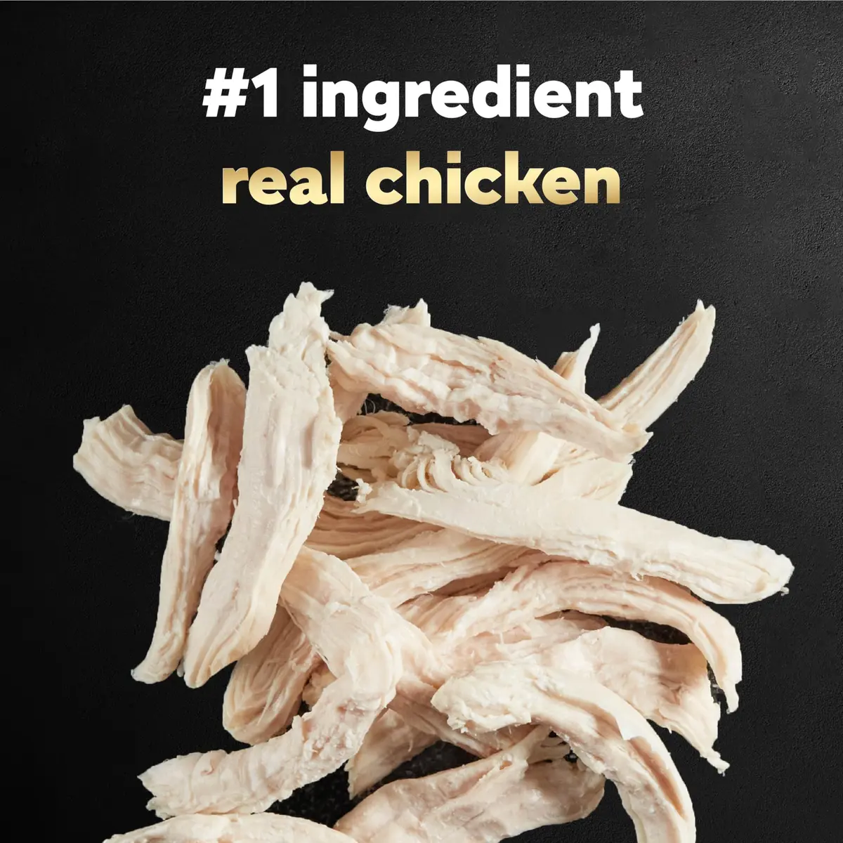 Cesar Simply Crafted Wet Dog Food Toppers, Chicken, 1.3 oz, 24 Count | Real Chicken, Easy Digest, Gourmet Meal Supplement - view 4