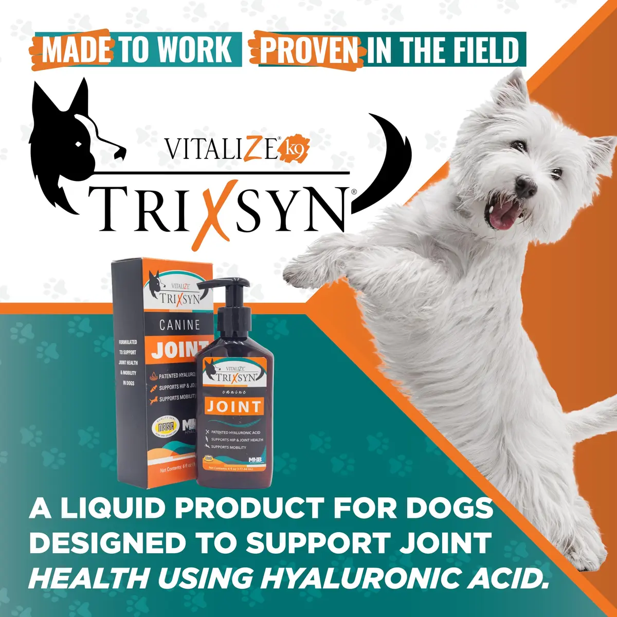 TRIXSYN Canine Hyaluronic Acid Liquid Support 18oz | Supports Hip & Joint Mobility - view 2