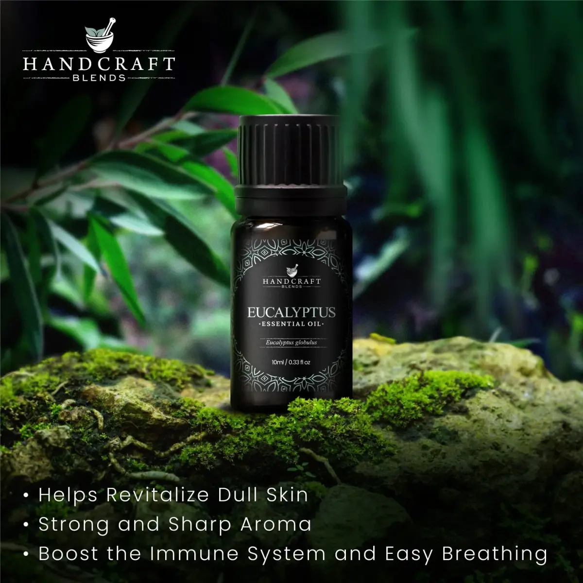 Handcraft Blends Eucalyptus Essential Oil 10ml (0.33 Fl Oz) | Pure & Natural for Diffuser, Soap Making - view 3