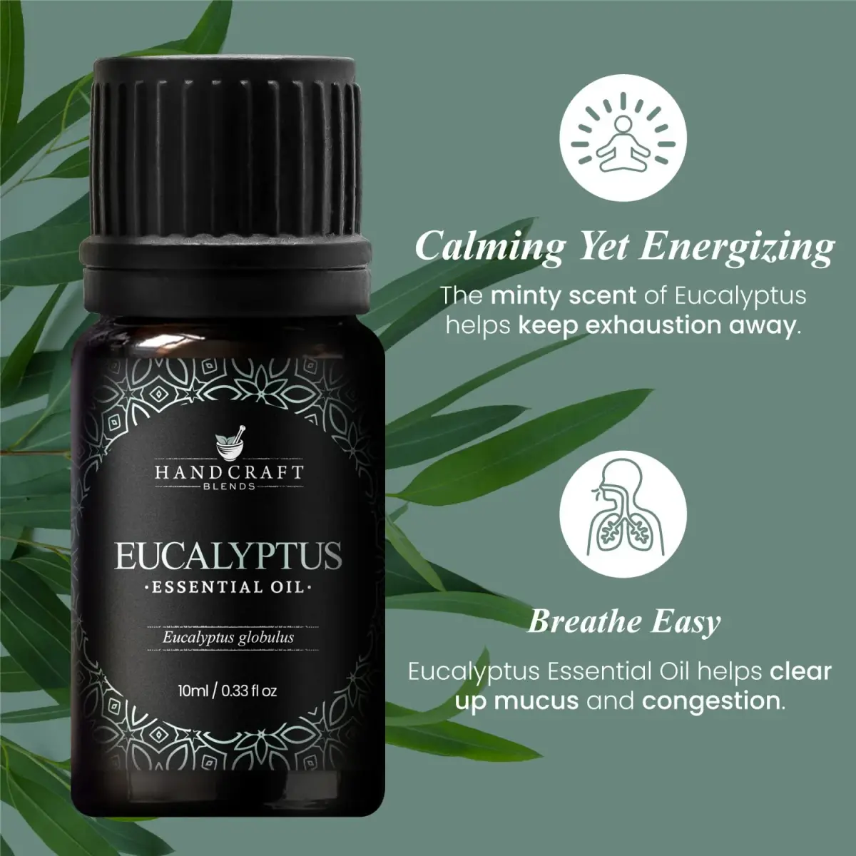 Handcraft Blends Eucalyptus Essential Oil 10ml (0.33 Fl Oz) | Pure & Natural for Diffuser, Soap Making - view 4