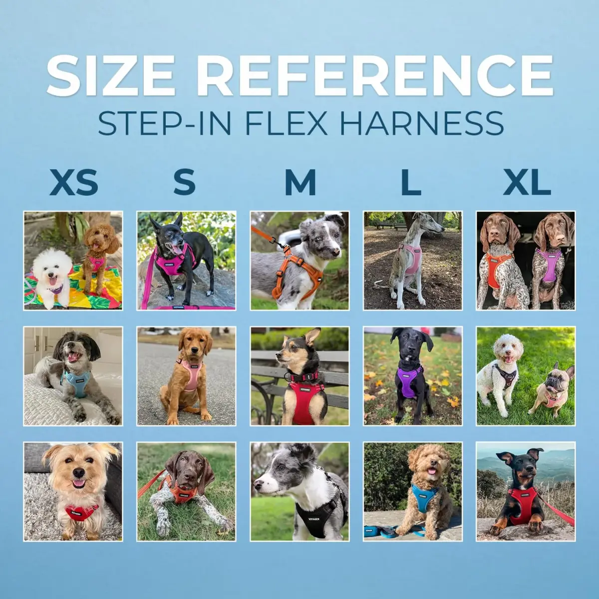 Best Pet Supplies Voyager Step-In Mesh Dog Harness & Leash Set, XL (Baby Blue) | No-Pull, Breathable, Reflective - view 6