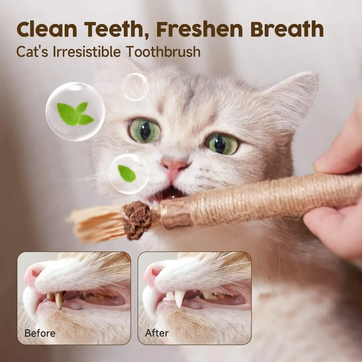 Potaroma Natural Silvervine Sticks Cat Toys 3 Pack | Catnip Blend Chew Toys for Dental Care - view 4