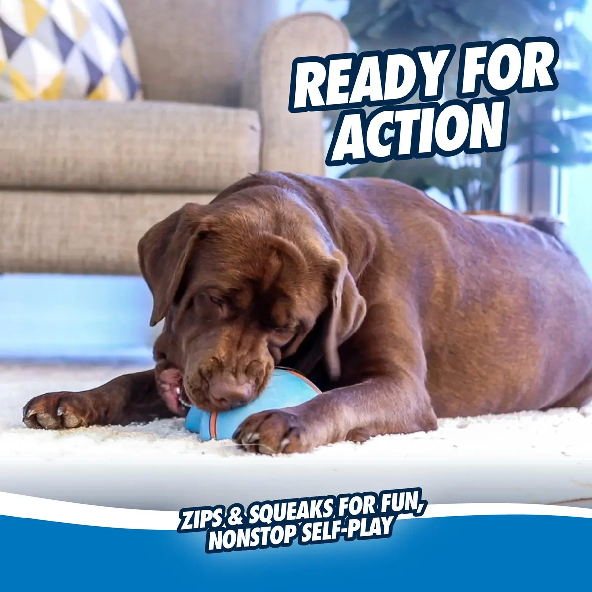Chuckit! Indoor Super Slider Self-Fetch Squeaky Dog Toy, Durable Rubber - view 5
