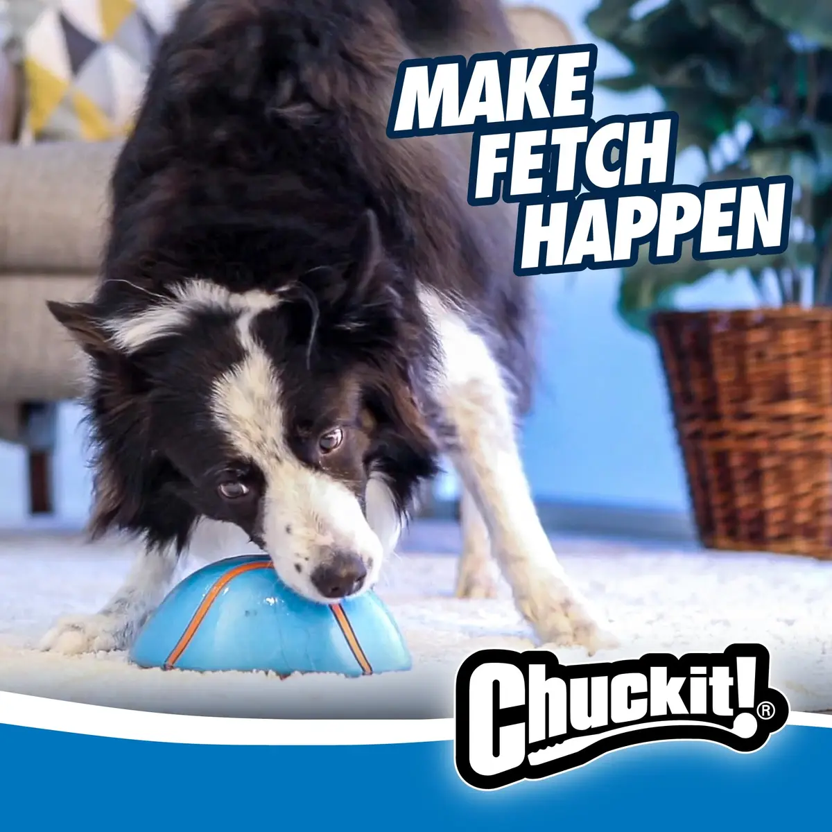 Chuckit! Indoor Super Slider Self-Fetch Squeaky Dog Toy, Durable Rubber - view 6