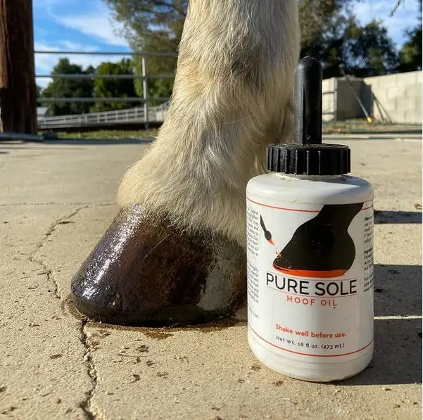 Pure Sole Hoof Oil - All Natural Horse Hoof Conditioner with Brush Applicator 16 fl oz | Strengthens & Moisturizes Hooves - view 7