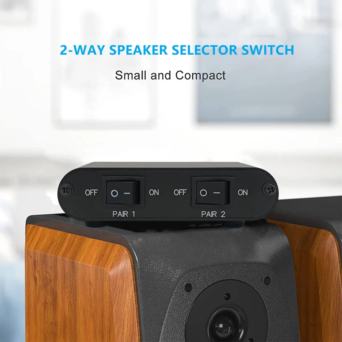 TENEALAY 2-Zone Speaker Selector Switch P21 | Control 2 Pairs of Speakers Simultaneously or Separately - view 3