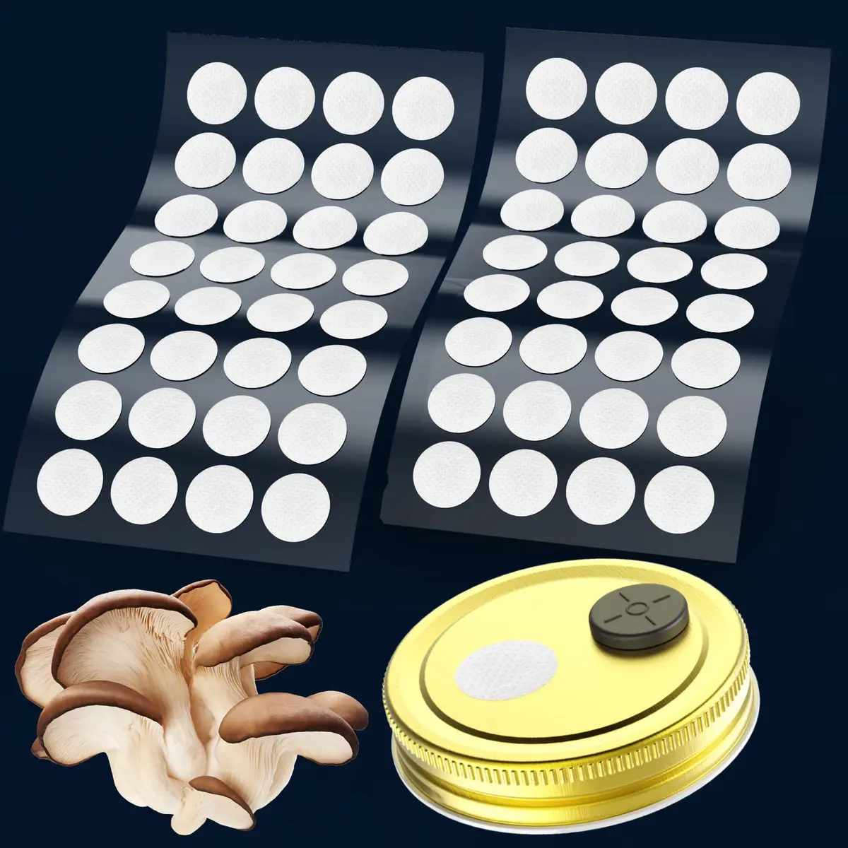 Biomed Solutions 64Pcs 20mm Synthetic Filter Discs Hydrophobic PTFE 0.3um for Mushroom Cultivation - main product image
