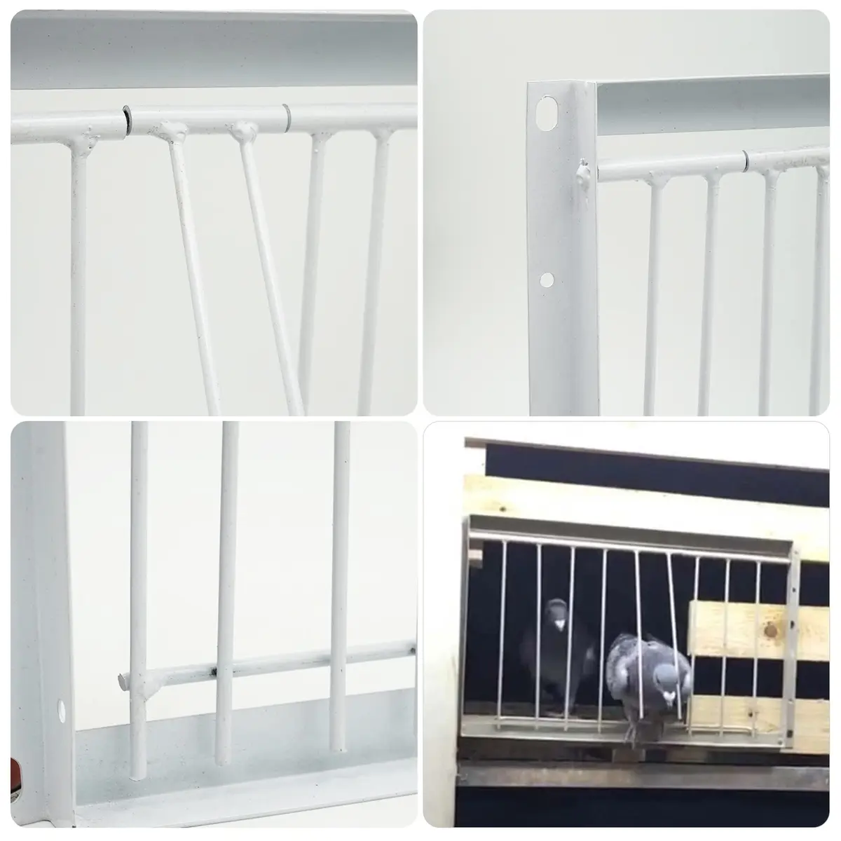 OIXXAF Pigeon Door Entrance 30cm (11.8in) x 26cm (10.2in) | One-Way Entry for Racing Pigeon Cages - view 6