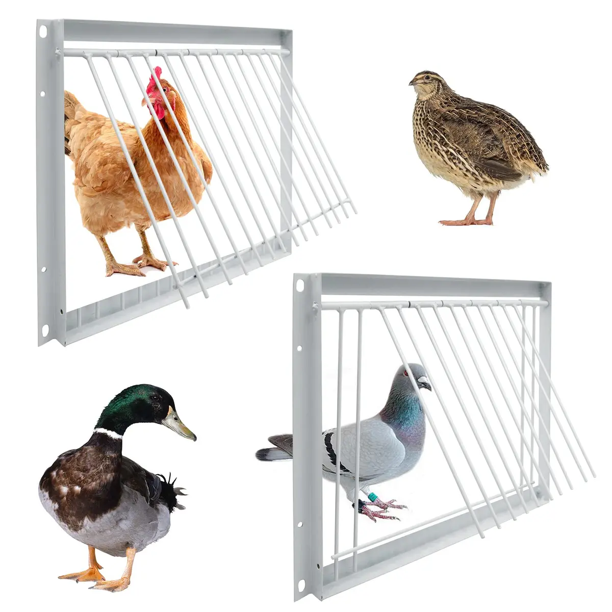 OIXXAF Pigeon Door Entrance 30cm (11.8in) x 26cm (10.2in) | One-Way Entry for Racing Pigeon Cages - view 7