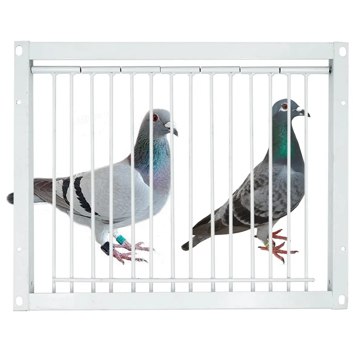 OIXXAF Pigeon Door Entrance 30cm (11.8in) x 26cm (10.2in) | One-Way Entry for Racing Pigeon Cages - view 8