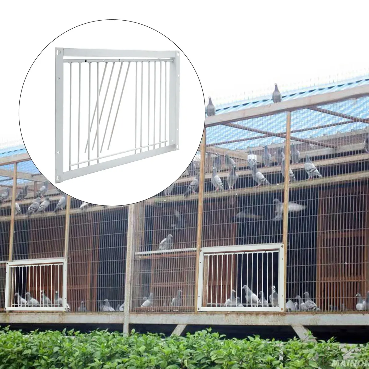 OIXXAF Pigeon Door Entrance 30cm (11.8in) x 26cm (10.2in) | One-Way Entry for Racing Pigeon Cages - view 9