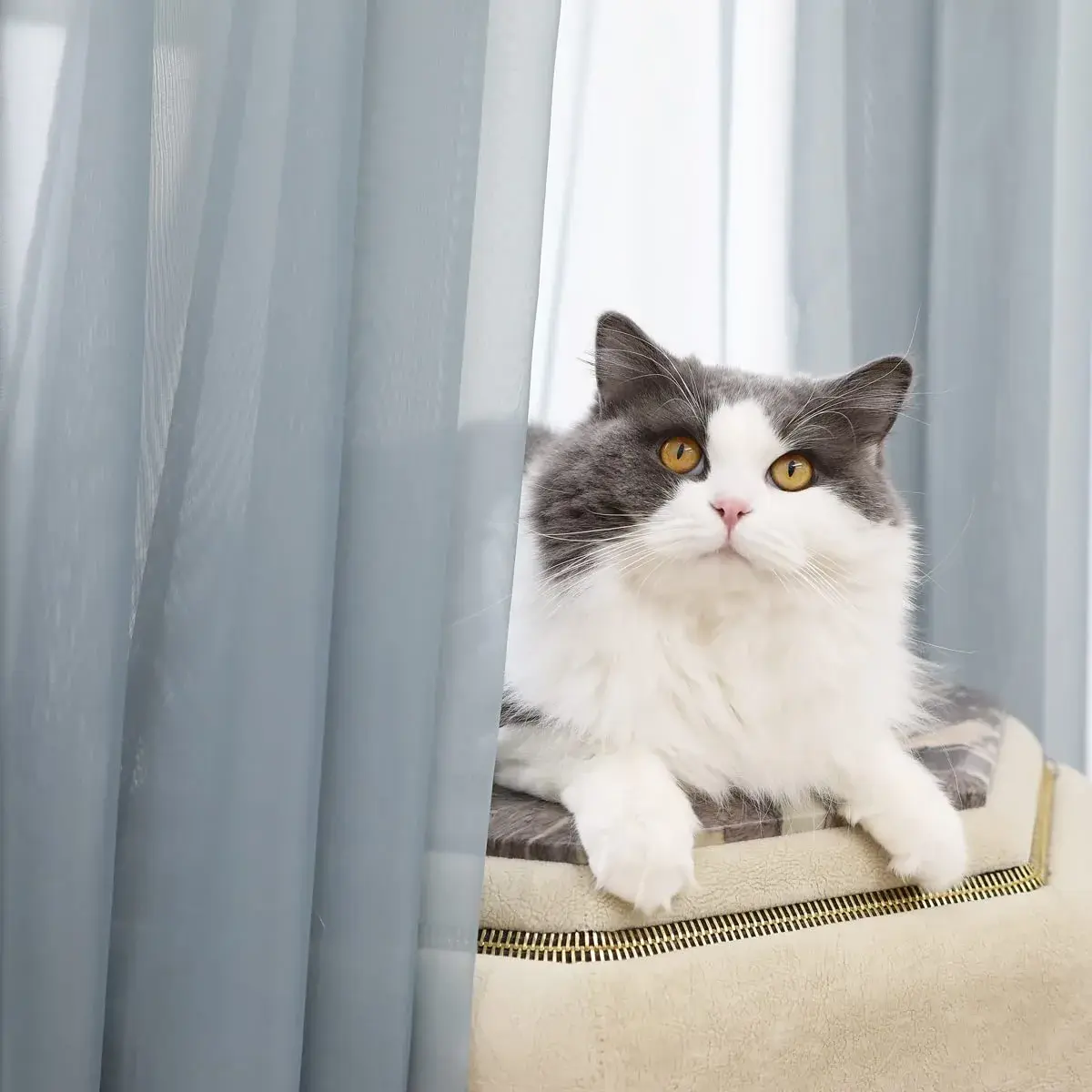 PHILEASY Light Gray Sheer Curtains 108" Long (Pack of 2) - Light Filtering Rod Pocket Panels - view 2