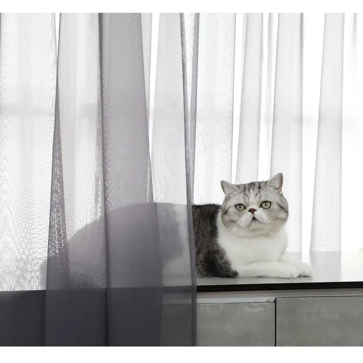 PHILEASY Dark Gray Sheer Curtains 72" L x 52" W | Pack of 2 Light-Filtering Rod Pocket Panels - view 2
