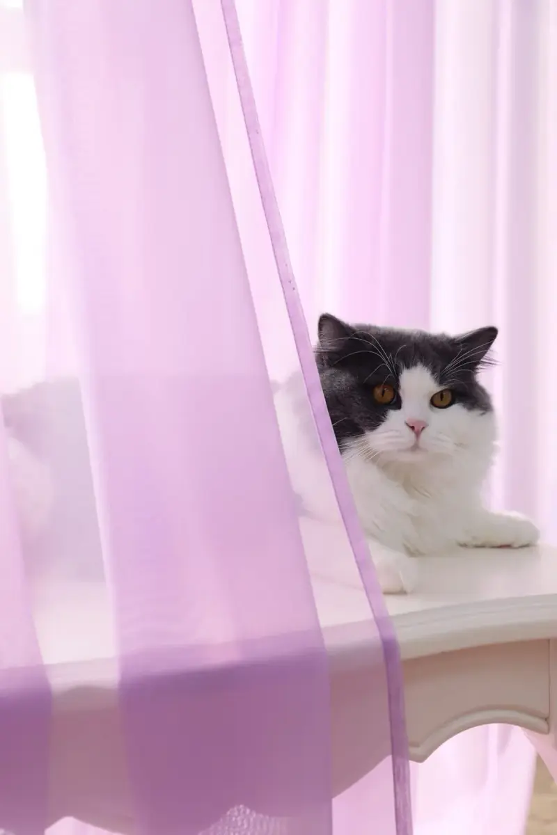PHILEASY Purple Sheer Curtains 95" Long - Pack of 2 Light-Filtering Rod Pocket Panels - view 2
