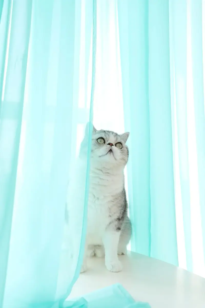 PHILEASY Lake Blue Sheer Curtains 145" Long - Pack of 2 Light-Filtering Rod Pocket Panels - view 2