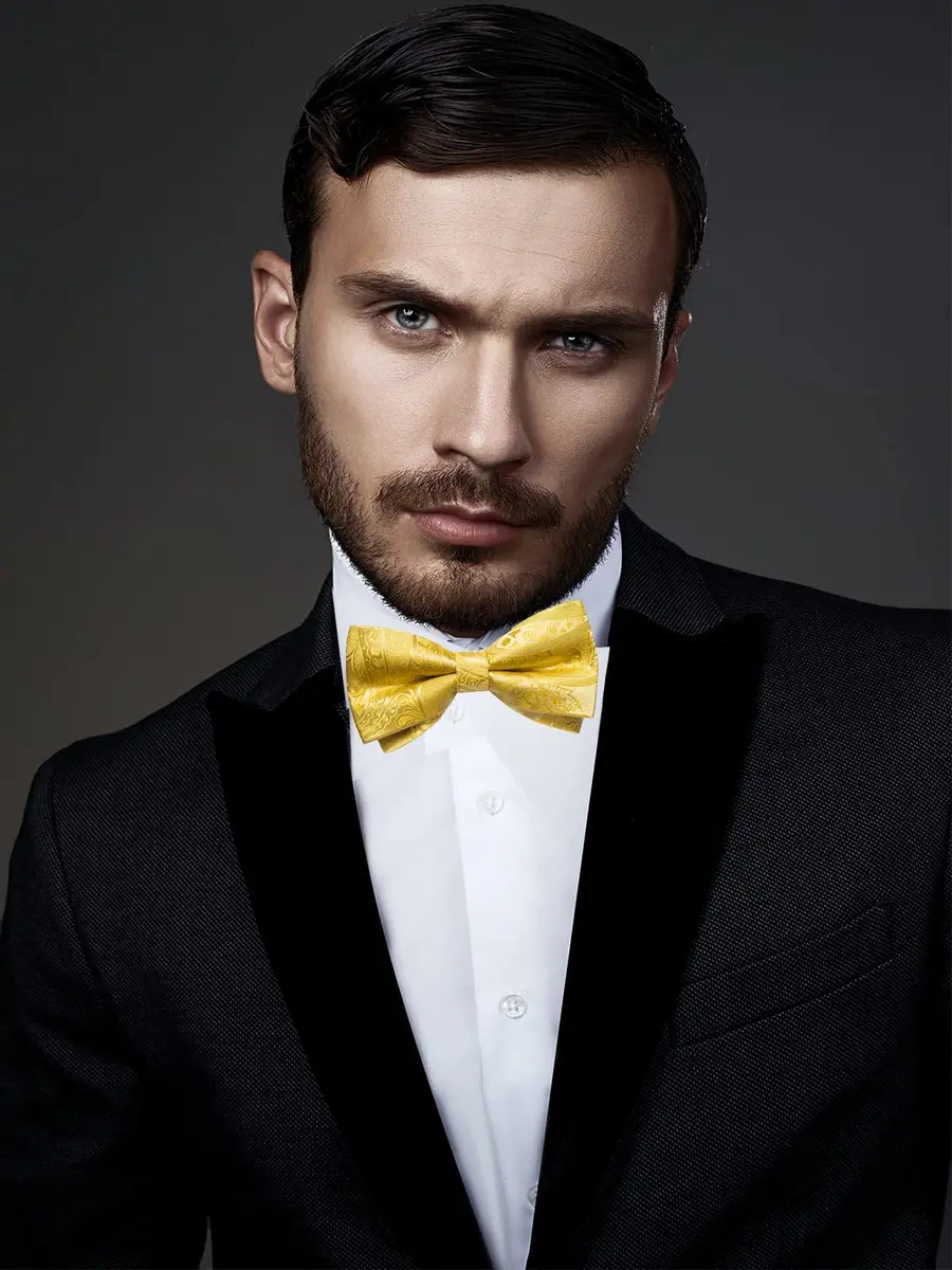 DiBanGu Silk Bow Tie Pre-Tied Bowtie Set for Men In Gift Box,Yellow | Adjustable Classic Paisley Pattern - view 3
