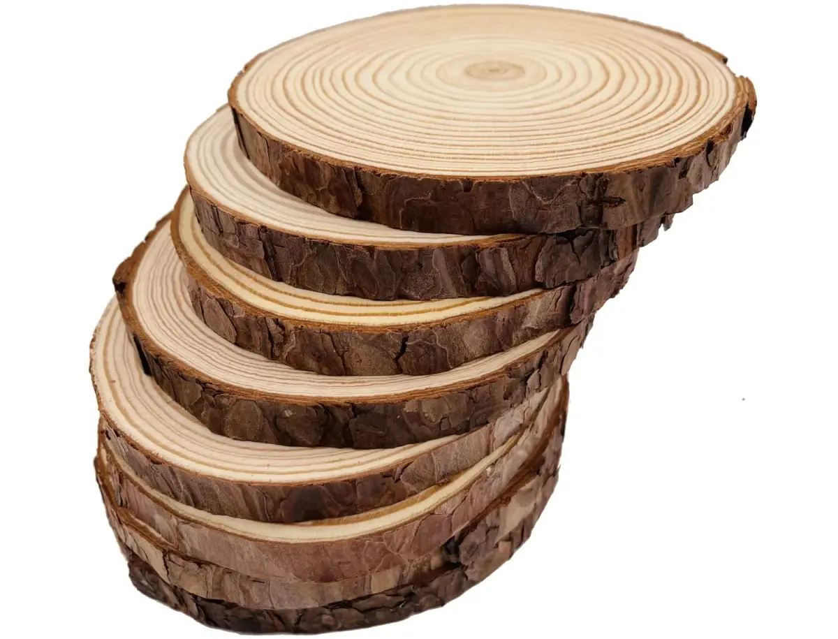 William Craft Natural Wood Slices 9 Pcs 13-14cm (5.1-5.5 inch) Rustic Wedding DIY Craft Wood Kit | Pack of 9 - view 3
