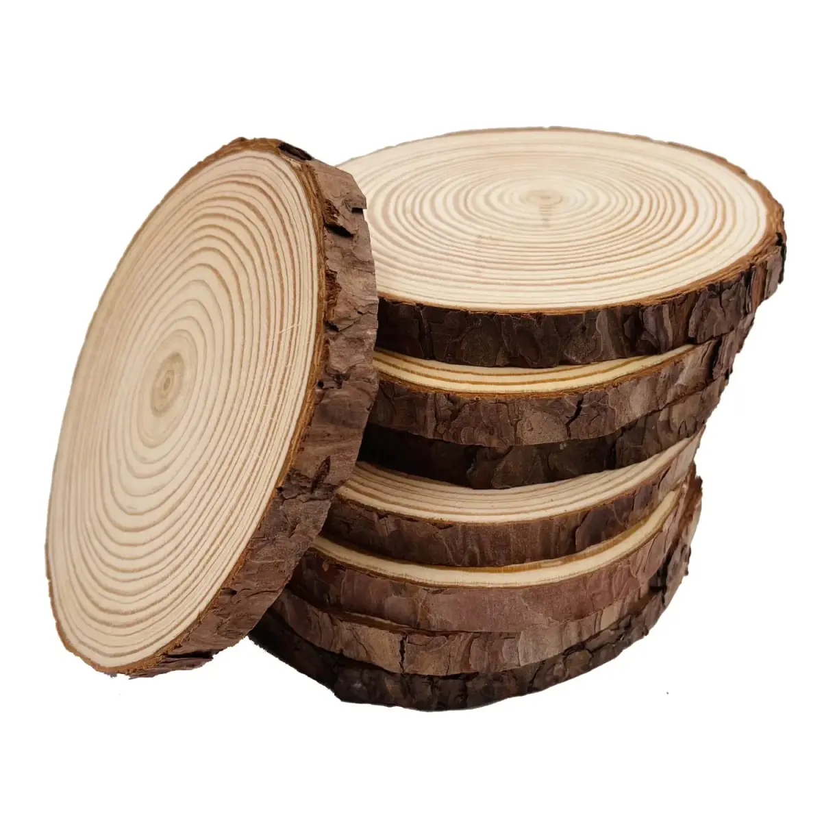 William Craft Natural Wood Slices with Bark 8 Pcs 14-15cm (5.5-6 inch) | Rustic Wedding & DIY Craft Wood Circles - main product image