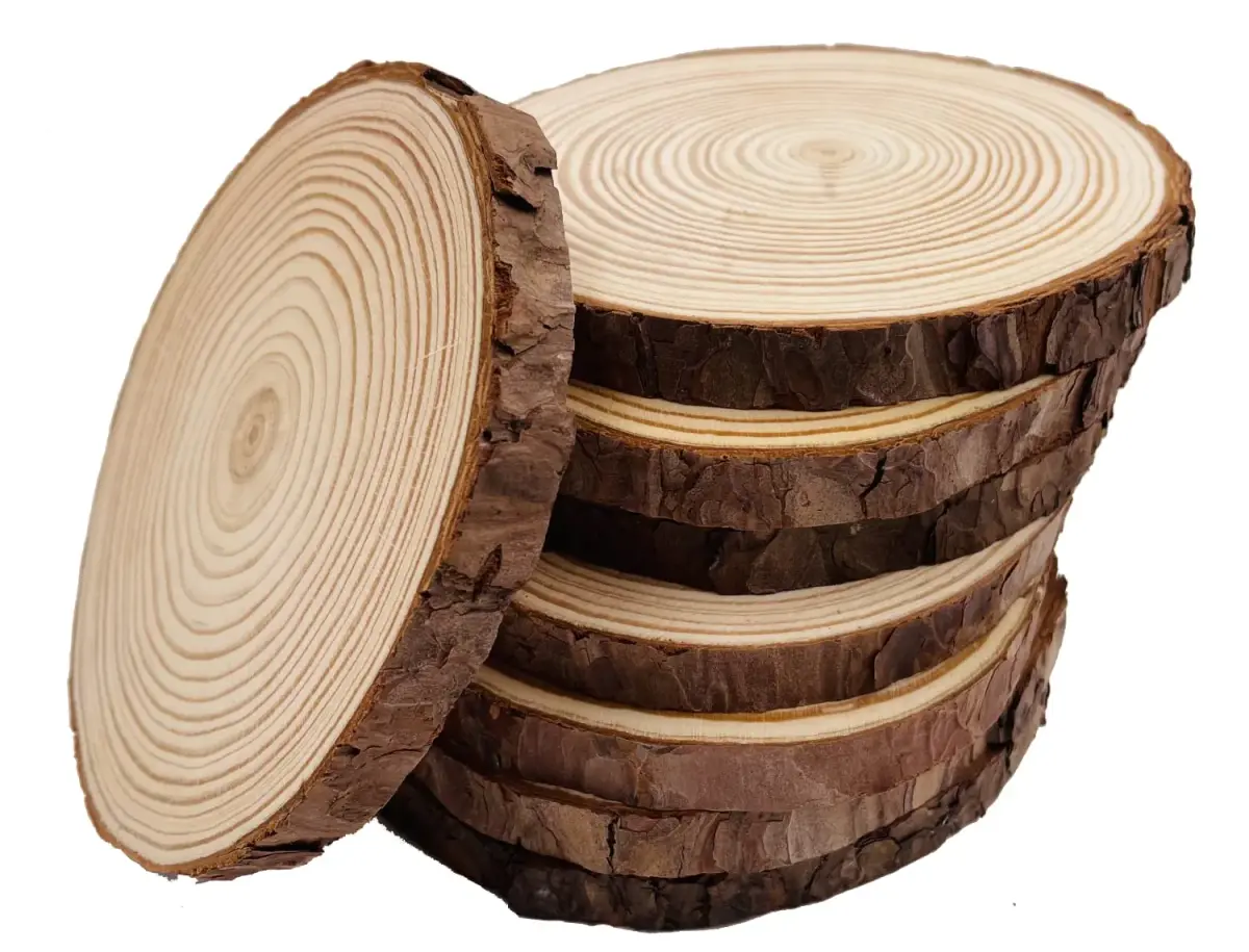 William Craft Natural Wood Slices with Bark 8 Pcs 14-15cm (5.5-6 inch) | Rustic Wedding & DIY Craft Wood Circles - main product image