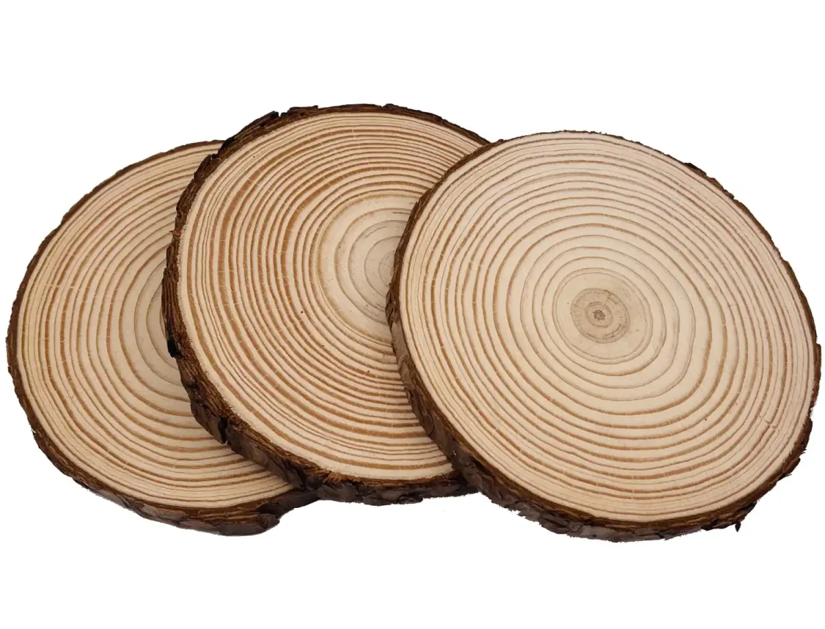 William Craft Natural Wood Slices with Bark 8 Pcs 14-15cm (5.5-6 inch) | Rustic Wedding & DIY Craft Wood Circles - view 3