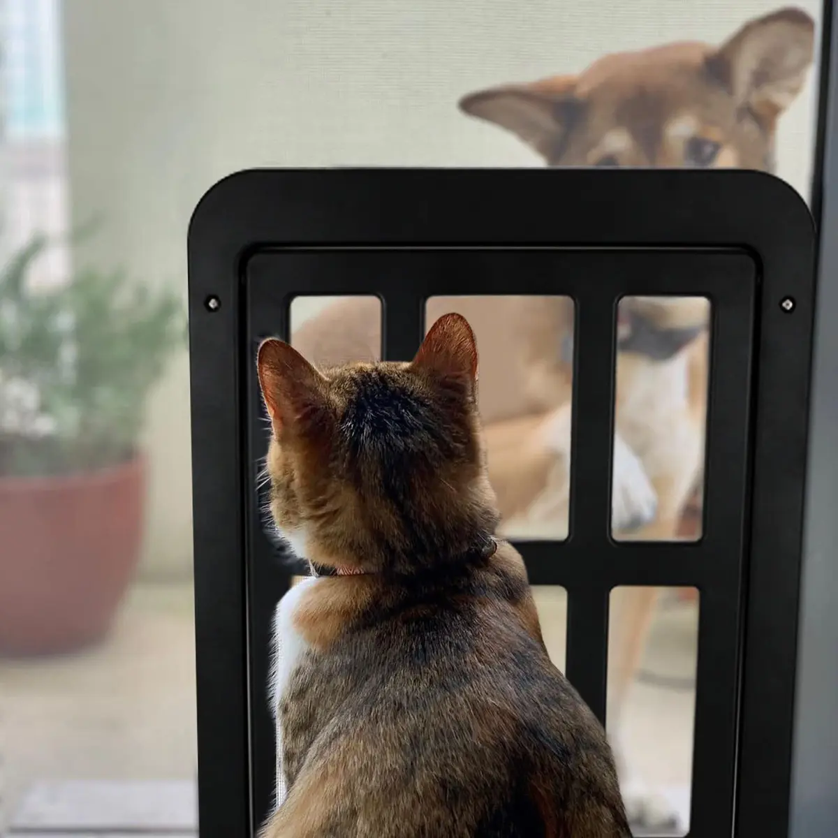 NAMSAN Dog Screen Door 11.2 x 14.4 inches | Large Pet Door for Sliding Doors with Magnetic Self-Closing (70-120c) - view 7