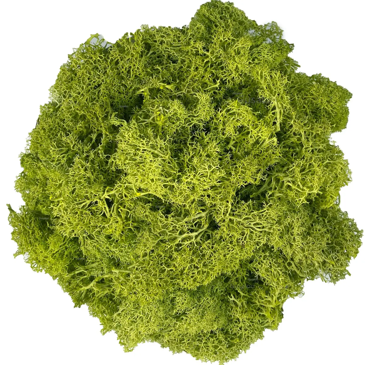 Gusaloo Artificial Moss Preserved 3.5oz | Long-Lasting Indoor Decor for Craft & Floral - main product image