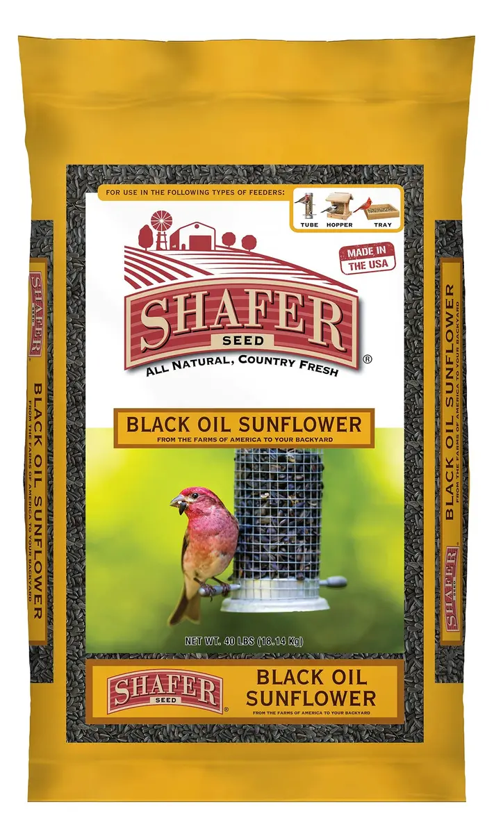 Shafer Seed 40-Pound Bag Black Oil Sunflower Wild Bird Food | Extra Clean, High Energy Seeds - main product image