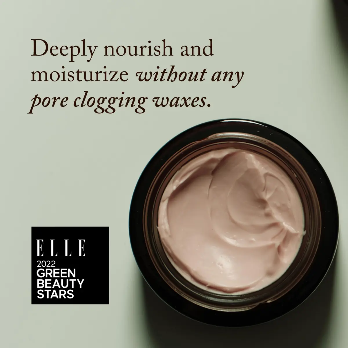 True Botanicals Chebula Extreme Cream with Hyaluronic Acid 1.7 oz | Deep Hydration & Anti-Aging - view 2