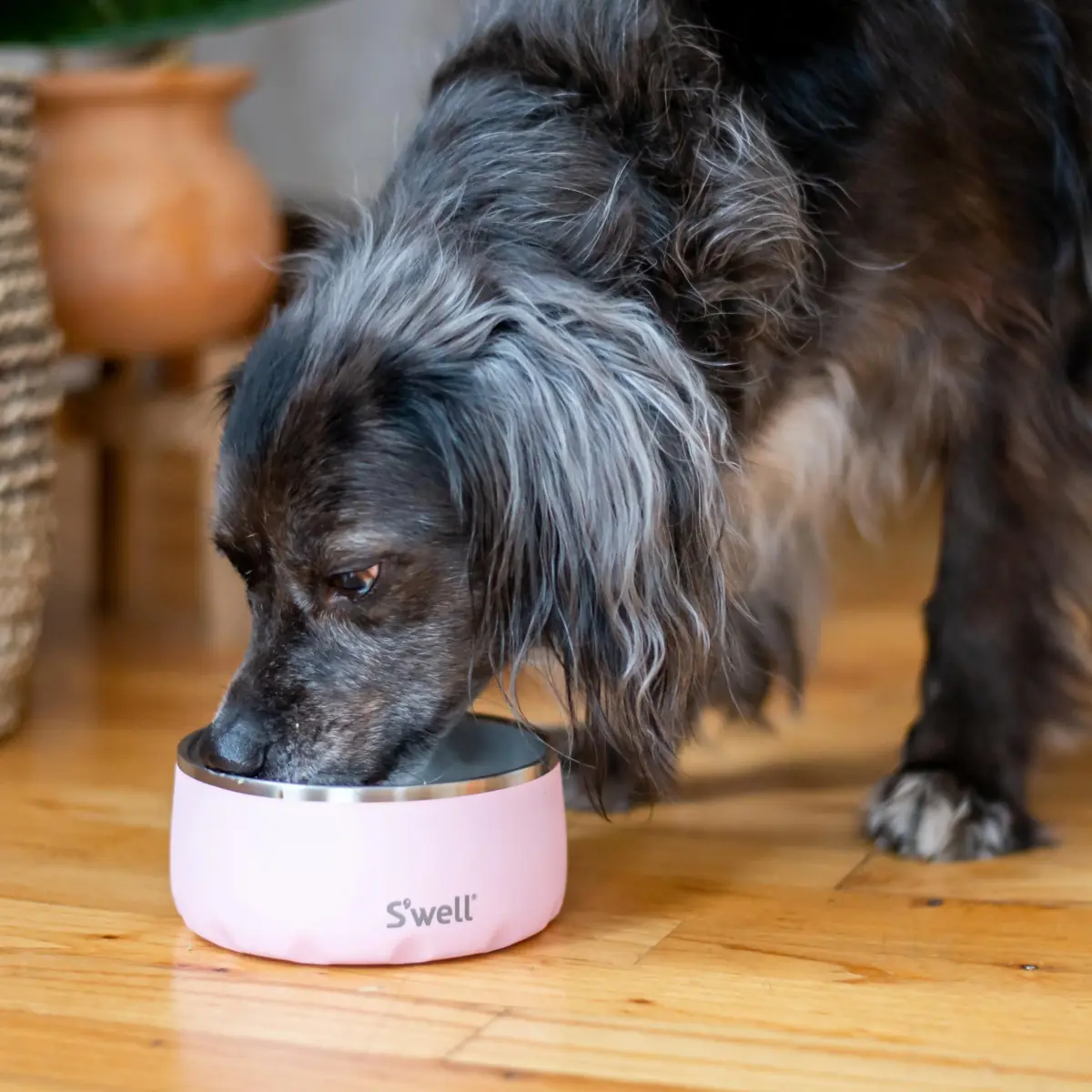 S'well Stainless Steel Pet Bowl 16oz (470ml) Pink Topaz | Non-Slip Base for Dogs - view 5